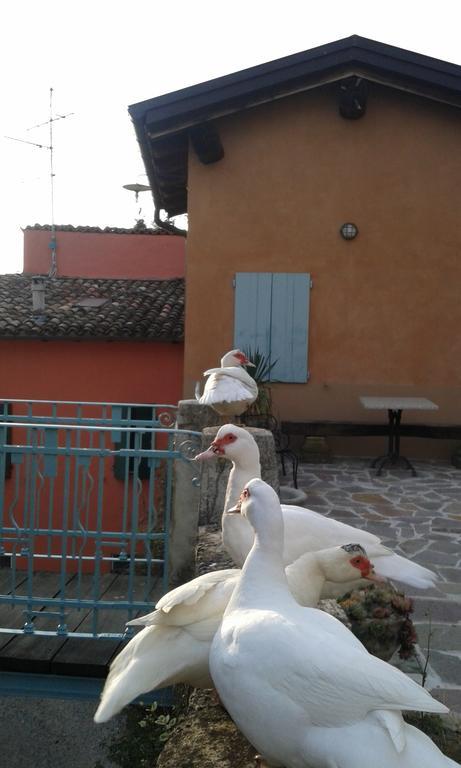 Agriturismo Il Gelso Traversetolo Exterior photo