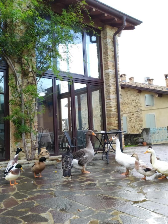 Agriturismo Il Gelso Traversetolo Exterior photo